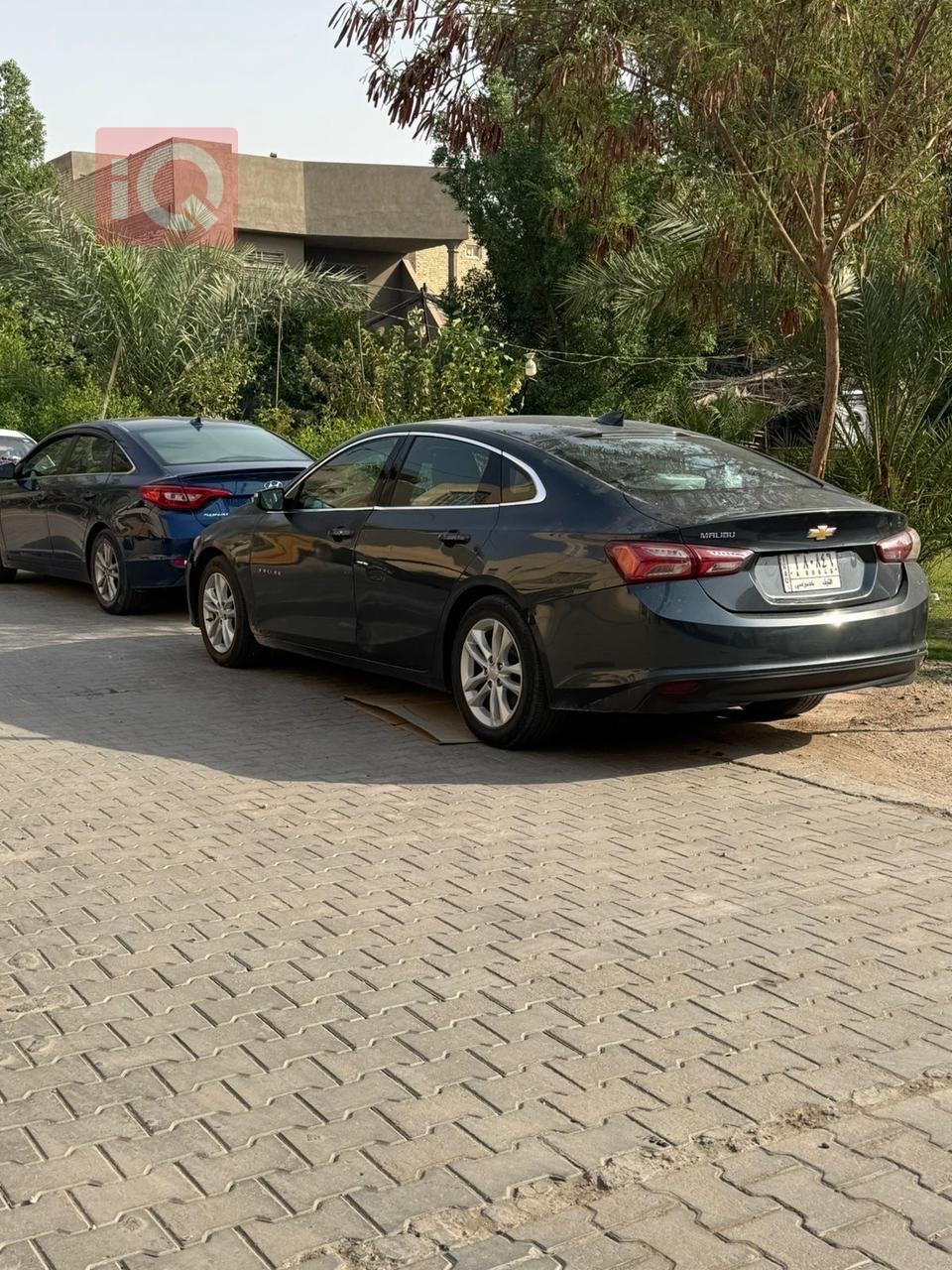 شيفروليه ماليبو